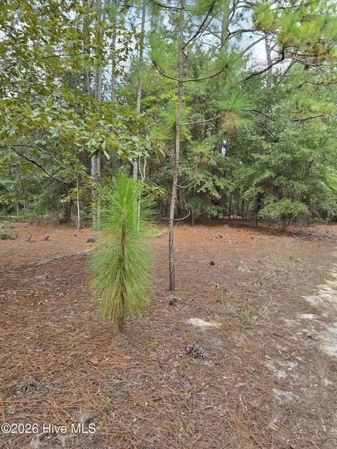 317 R J Johnson Rd, Allendale, SC 29810