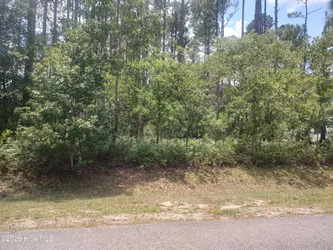 906 Bee Tree Ct, New Bern, NC 28560