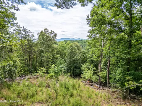 1 Stormy Rdg, Brasstown, NC 28902