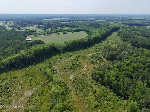 107 Ac Nc 32 N Corapeake Rd, Corapeake, NC 27926 photo 8