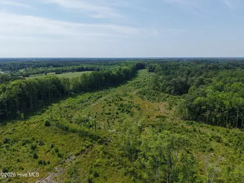 107 Ac Nc 32 N Corapeake Rd, Corapeake, NC 27926 photo 4