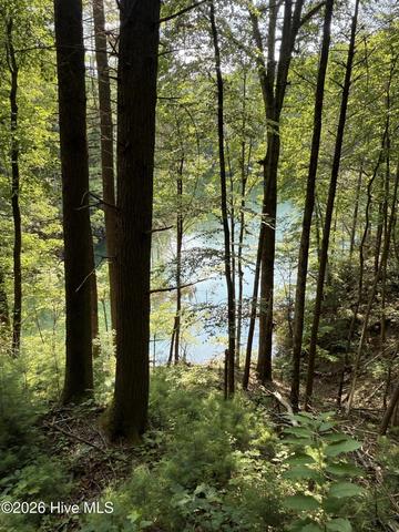 00 Berry Patch Rd, Murphy, NC 28906