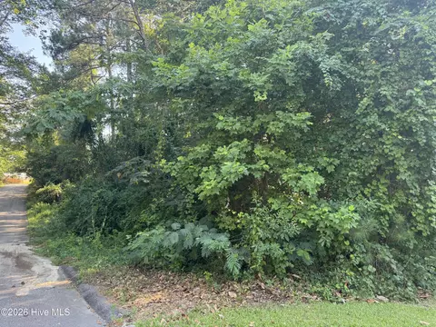 Other - 201 Shaw Rd, Hamlet, NC 28345 photo 3 of 3