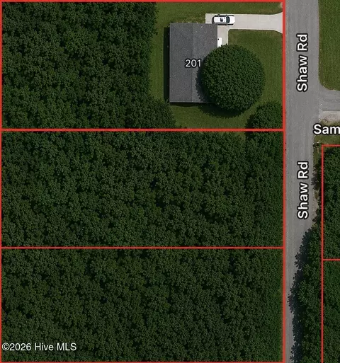 View/Area - 201 Shaw Rd, Hamlet, NC 28345 photo 1 of 1