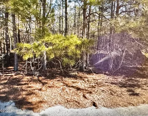 285 Dodge Point Dr, Pinetops, NC 27864