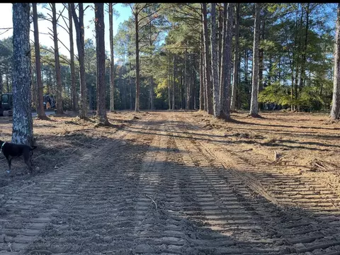 2400 Morris Callaway Rd, Appling, GA 30802 photo 8