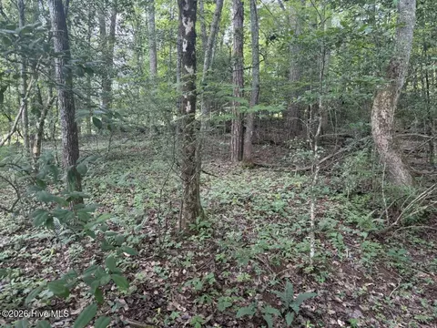 tbd Rough Gravel Rd, Murphy, NC 28906 photo 6
