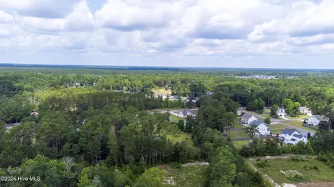 View/Area - 574 Poppleton Dr, Hampstead, NC 28443 photo 4 of 5