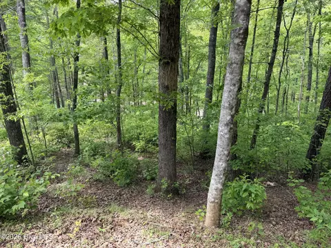 Multi Lots Black Fox Drive, Murphy, NC 28906 photo 6