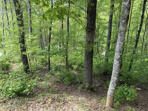 Multi Lots Black Fox Drive, Murphy, NC 28906 photo 9