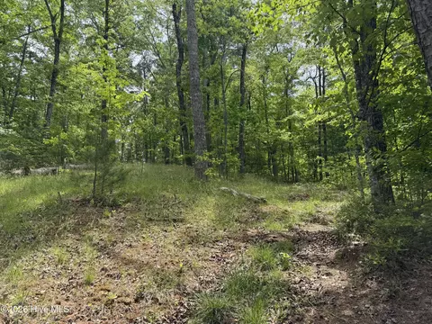 Multi Lots Black Fox Drive, Murphy, NC 28906 photo 13