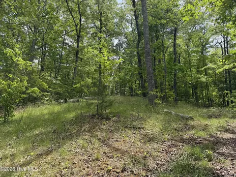 Multi Lots Black Fox Drive, Murphy, NC 28906 photo 8