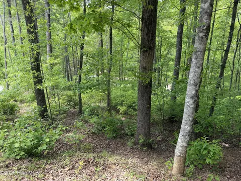 Multi Lots Black Fox Drive, Murphy, NC 28906 photo 5
