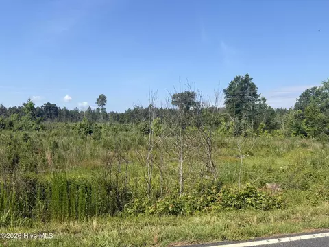 tbd Everett Chappell Rd, Ellerbe, NC 28338
