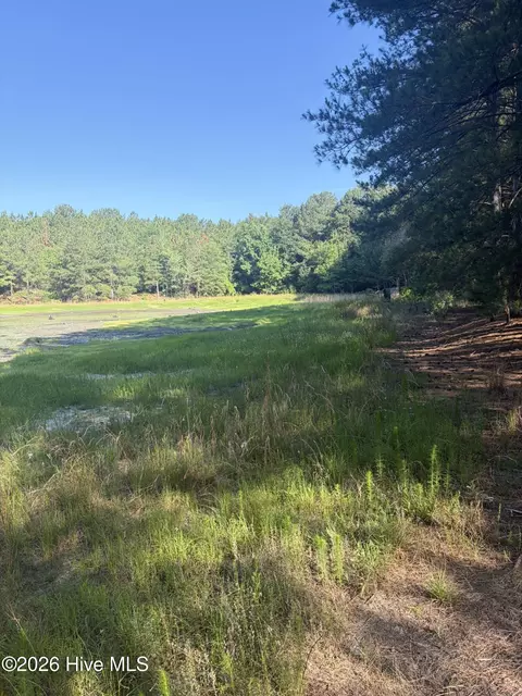 tbd Jones Spring Church Rd, Ellerbe, NC 28338