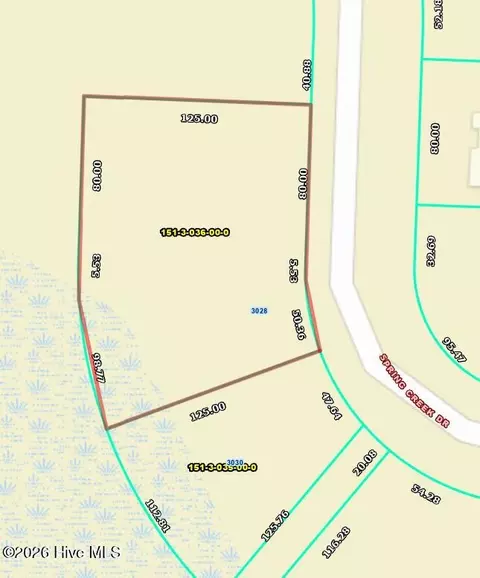 3028 Spring Creek Dr, Hephzibah, GA 30815
