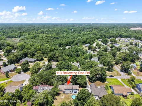 View/Area - 113 Bellowing Doe Rd, Hampstead, NC 28443 photo 13 of 16