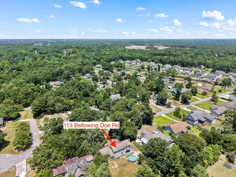 View/Area - 113 Bellowing Doe Rd, Hampstead, NC 28443 photo 15 of 16