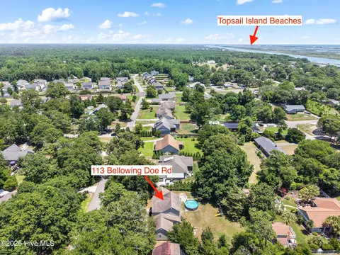 View/Area - 113 Bellowing Doe Rd, Hampstead, NC 28443 photo 4 of 16