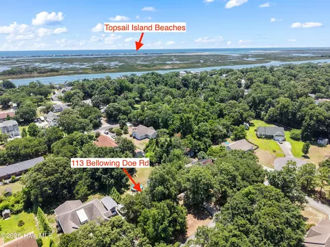 View/Area - 113 Bellowing Doe Rd, Hampstead, NC 28443 photo 1 of 16
