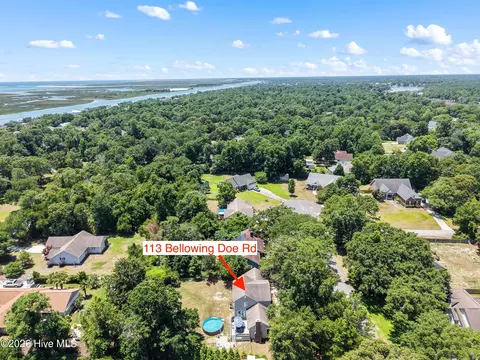 View/Area - 113 Bellowing Doe Rd, Hampstead, NC 28443 photo 11 of 16