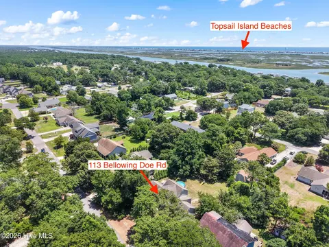 View/Area - 113 Bellowing Doe Rd, Hampstead, NC 28443 photo 6 of 16