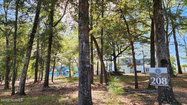 3627 White Cliffs Dr, Castle Hayne, NC 28429