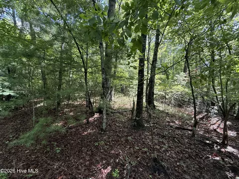 81 Roberts Rd, Murphy, NC 28906 photo 9