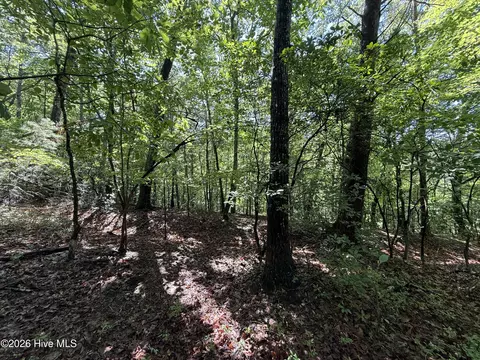 81 Roberts Rd, Murphy, NC 28906 photo 8