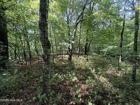 81 Roberts Rd, Murphy, NC 28906 photo 7
