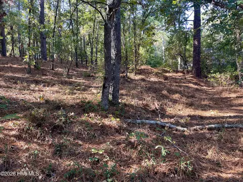 0 Hylan Ave, Hamlet, NC 28345 photo 4