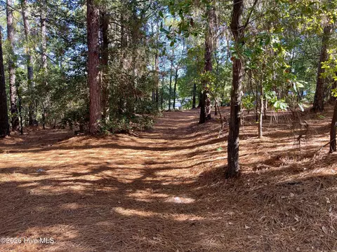 0 Hylan Ave, Hamlet, NC 28345 photo 7
