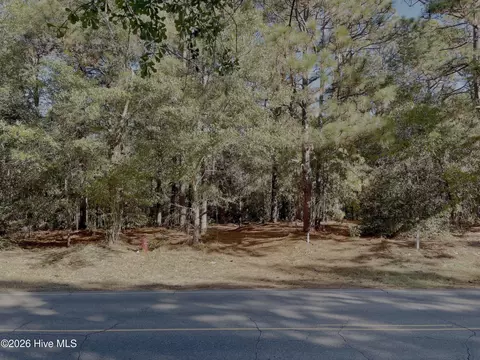 0 Hylan Ave, Hamlet, NC 28345 photo 6