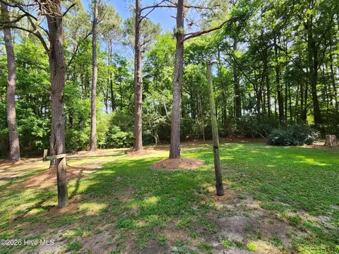 246 Grabtown Rd, Windsor, NC 27983 photo 18