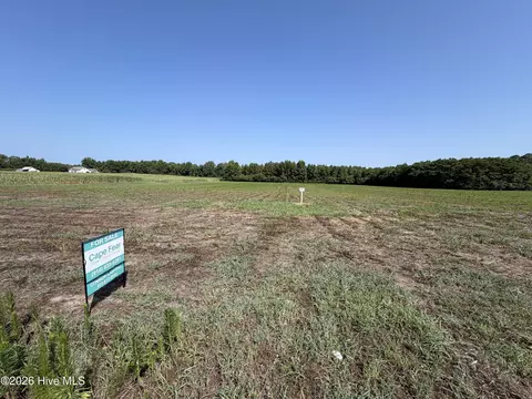 lot7 Point Caswell Rd, Willard, NC 28478 photo 7