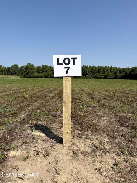 lot7 Point Caswell Rd, Willard, NC 28478 photo 6