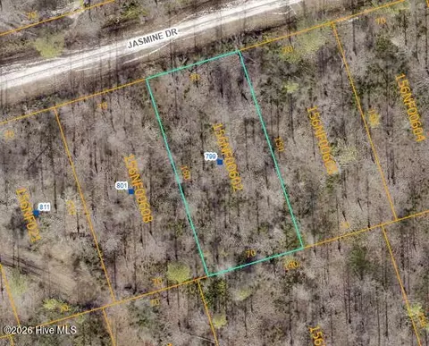 799 Jasmine Rd, Boiling Spring Lakes, NC 28461 photo 3