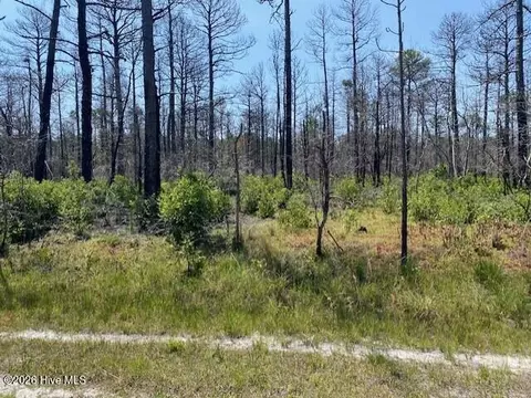 799 Jasmine Rd, Boiling Spring Lakes, NC 28461 photo 2