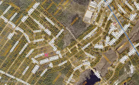 799 Jasmine Rd, Boiling Spring Lakes, NC 28461 photo 5