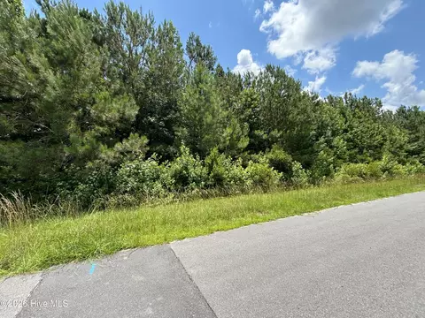 0 Progress Dr, Burgaw, NC 28425