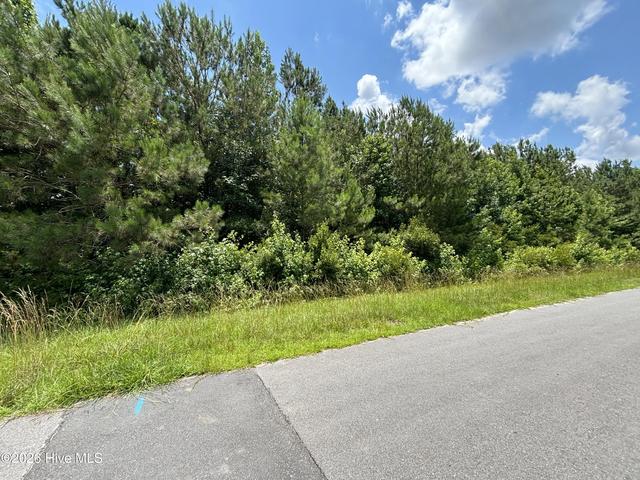 0 Progress Dr, Burgaw, NC 28425