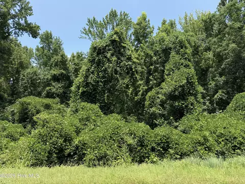 6925 Cobbham Rd, Appling, GA 30802 photo 3