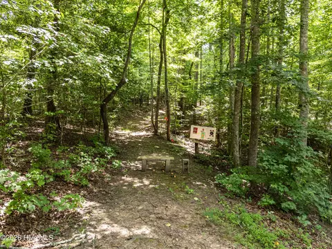 860 Holly Rd, Murphy, NC 28906 photo 44