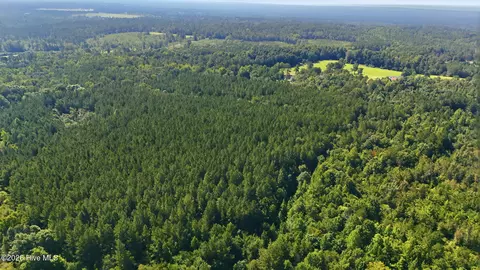 Off Pats Road, Vass, NC 28394 photo 16
