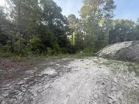 Off Pats Road, Vass, NC 28394 photo 5