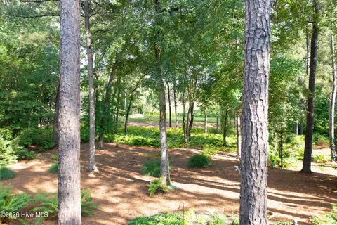 Other - 18 Oxton Cir, Pinehurst, NC 28374 photo 5 of 22