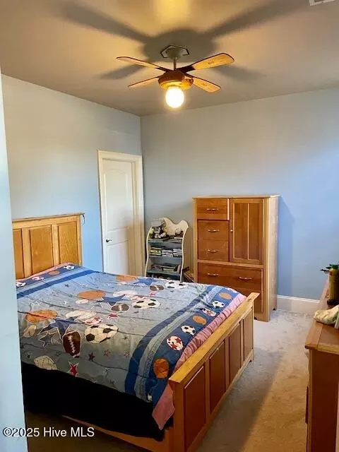 309 Russ Rd, Loris, SC 29569 photo 18