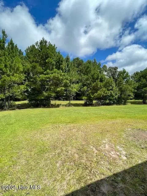 309 Russ Rd, Loris, SC 29569 photo 24