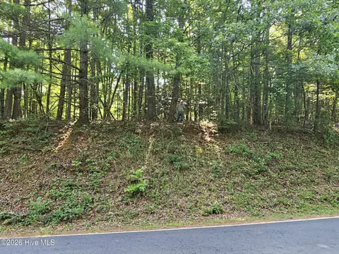 31 Acres Upper Bear Paw Rd, Murphy, NC 28906 photo 10
