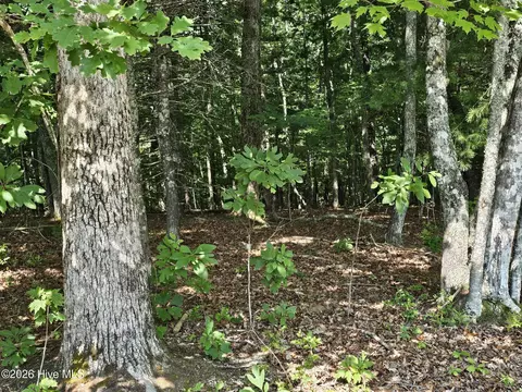 31 Acres Upper Bear Paw Rd, Murphy, NC 28906 photo 19